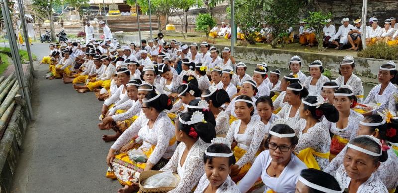 Upacara Tawur Memungkah, Berbagai Tarian Wali Ritual Ditampilkan | Bali